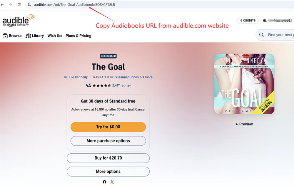 Audible to mp3